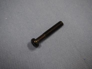 Linsenkopfschraube 6x35 für Suzuki