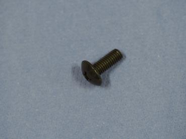 Halbrundkopfschraube 6x16 für Suzuki