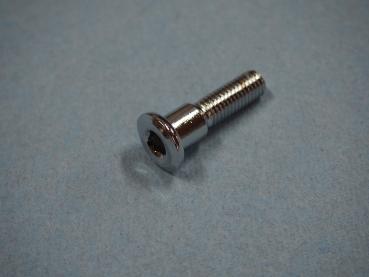 Bremsscheibenschraube 8x33 für Suzuki VS1400