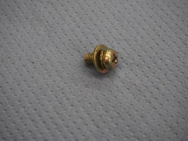 Schraube für Bremszylinder vorne Suzuki GS250/400/450, GT200