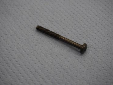 Schraube für Deckel Bremszylinder vorne Suzuki GS 450/850/1000, GT200/250