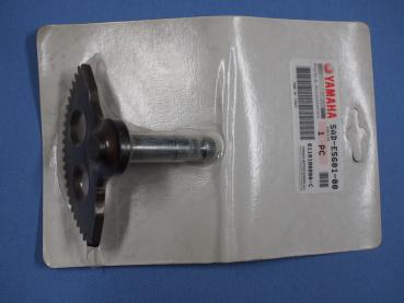 Kickstarterwelle für Yamaha YQ50