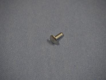 Niete für Windschild Suzuki GSX-R1100 91-92