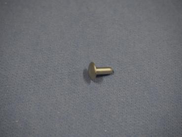 Niete für Windschild Suzuki GSX-R750, GSX-R1100, RGV250