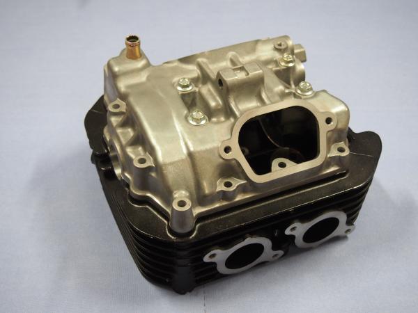 Zylinderkopf für Suzuki DR800 Big