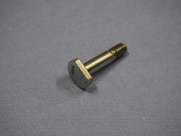 Schraube für Kettenrad Suzuki RG80